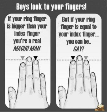 Gay Finger