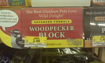 Woodpecker Block
